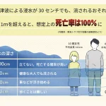 1mの津波の死亡率は100%