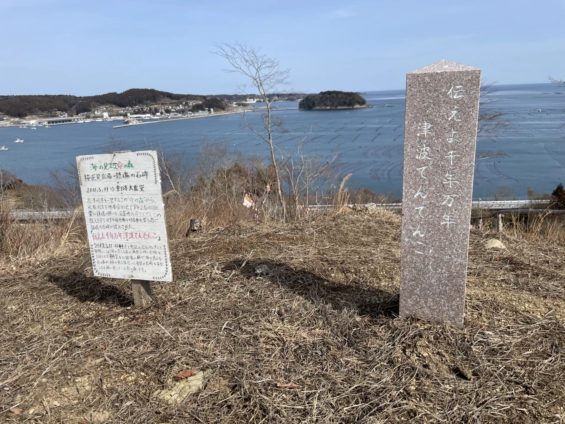 津波てんでんこ